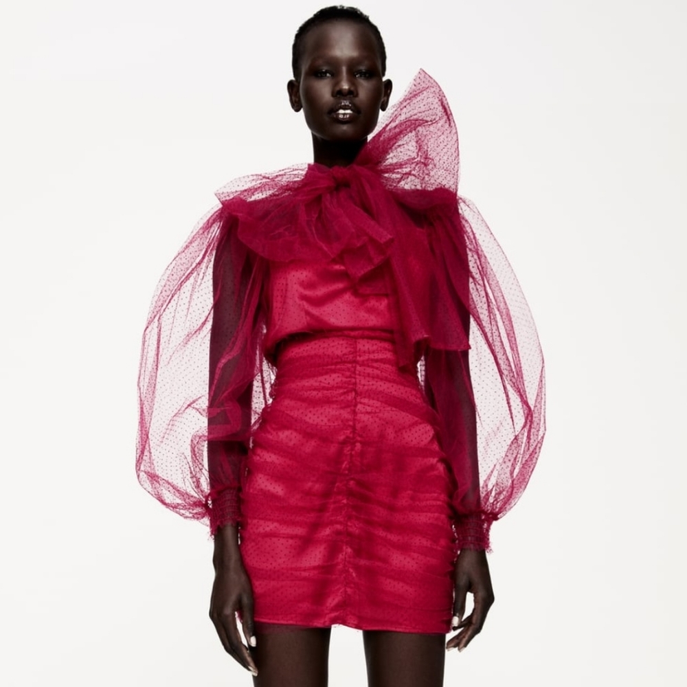 ZARA | Bloggers Fave Tulle Swiss Dot Dress Fuchsia - Picture 10 of 16